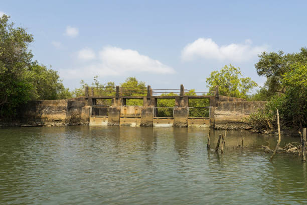 istock Beautiful sunny day on river in Palolem Goa India 1151687433