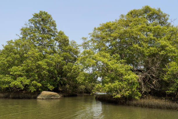 istock Beautiful sunny day on river in Palolem Goa India 1151688024