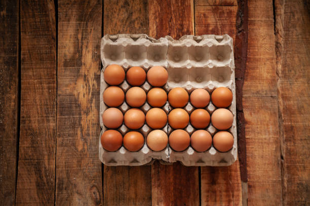 istock Fresh chicken egg in paper tray. 1151697001