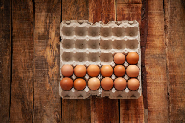 istock Fresh chicken egg in paper tray 1151700105