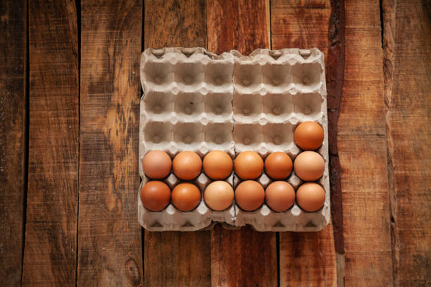 istock Fresh chicken egg in paper tray 1151700130