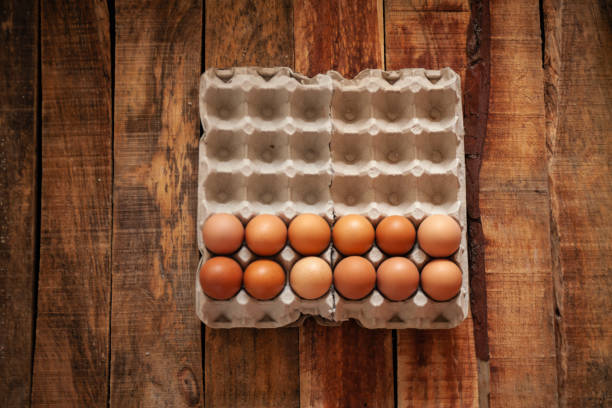 istock Fresh chicken egg in paper tray 1151700693