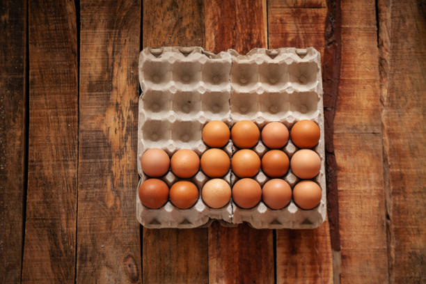istock Fresh chicken egg in paper tray 1151700695