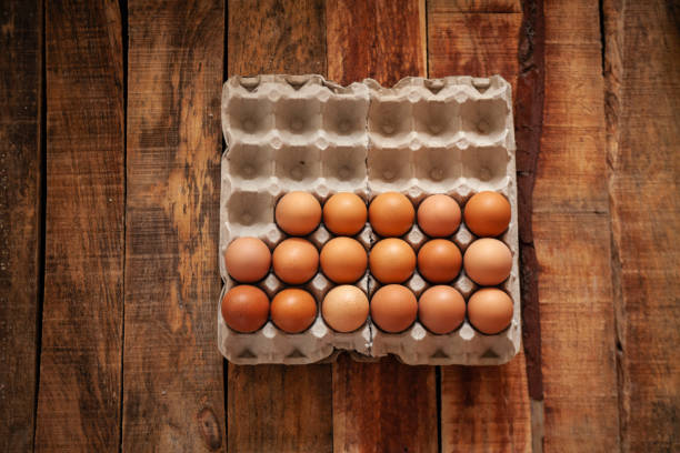 istock Fresh chicken egg in paper tray 1151702251