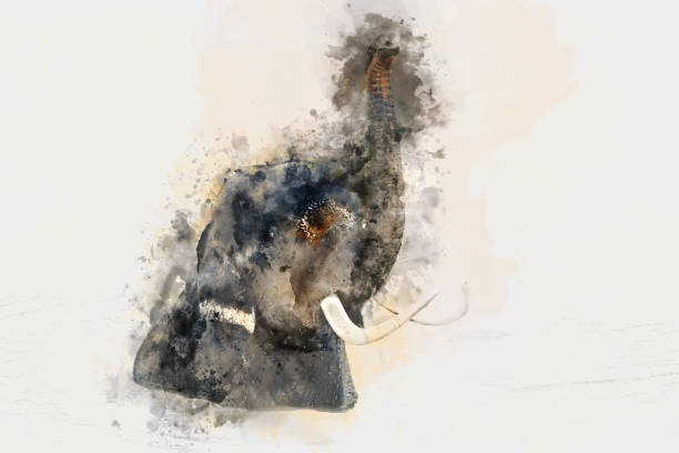 Elephant watercolor effect