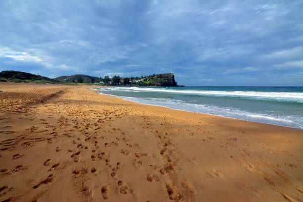 istock Avalon beach, New South Wales, Australia 1151721106