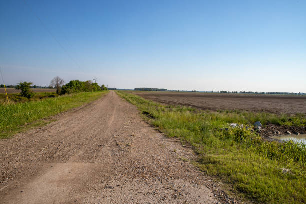 Southern Farmland and dirt road in the morning sunlight Mississippi Delta farmland, grass, and dirt road in the morning sun. mississippi delta stock pictures, royalty-free photos & images