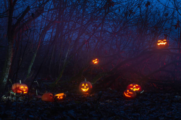 istock Halloween pumpkins in night forest 1151726231