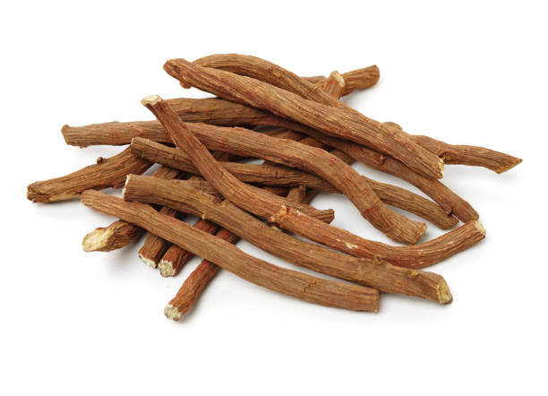 istock Red Sage Root（Salvia miltiorrhiza Bge） 1151728973