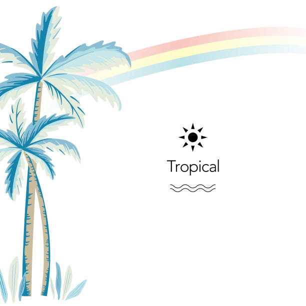 bildbanksillustrationer, clip art samt tecknat material och ikoner med vektor palm och regnbåge illustration på vit bakgrund - japansk paradis ö