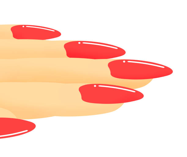 10+ Clip Art Of A Long Red Fingernails Illustrations, Royalty-Free