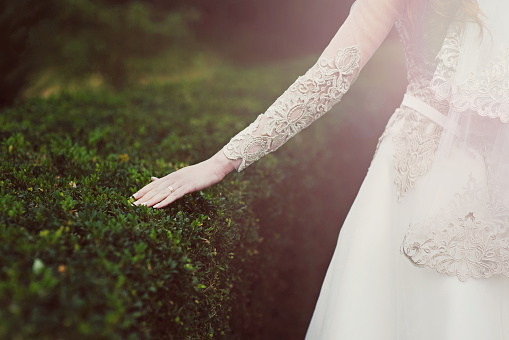 Bride in white dress touches the green bush in the park