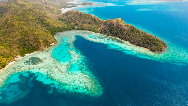 istock Tropical islands with white beaches and beautiful lagoons 1151750492