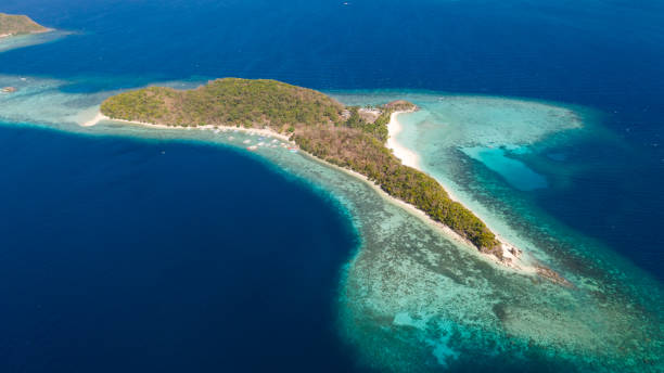 istock Beautiful tropical island with white beach, top view. Malcapuya Island 1151750521