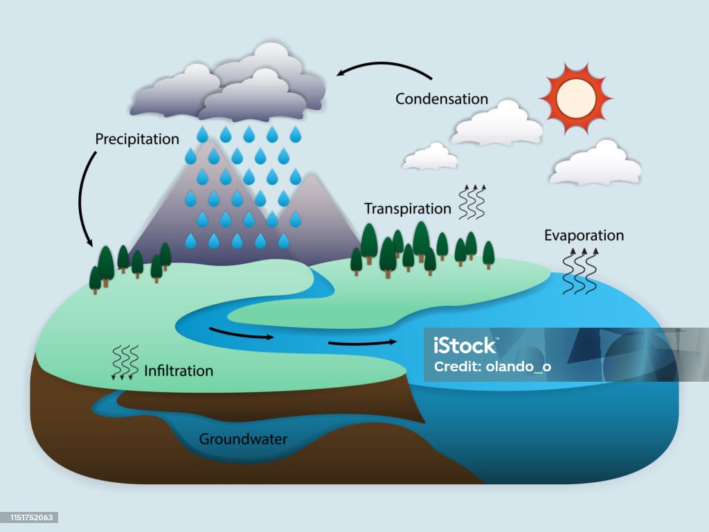 Ilustración de Diagrama Del Ciclo Del Agua En La Naturaleza y más Vectores  Libres de Derechos de Agua - Agua, Agua subterránea, Terreno - iStock