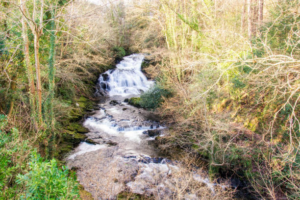 istock Fairy Falls - North Wales 1151752227