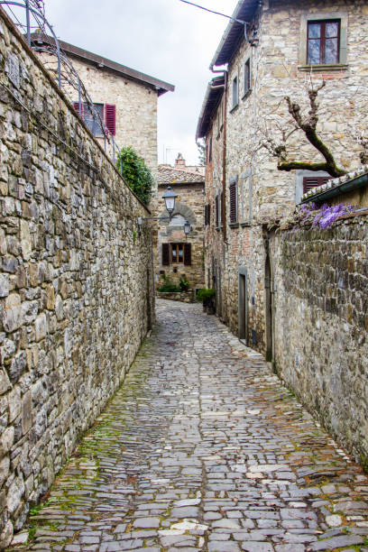 istock Montefioralle old village in Tuscany 1151755486