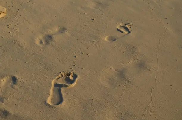 Beach sand footprints walking away in Aruba.