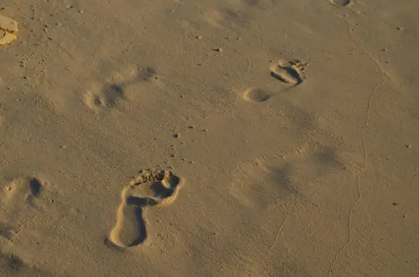 Imprints of footprints in the soft beach sand.