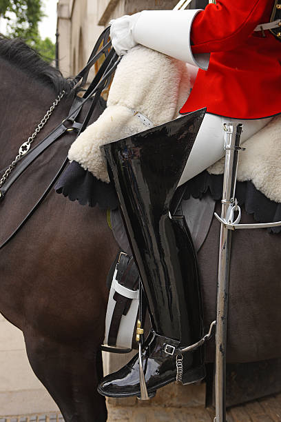 istock Horse Guardsman London 115177163