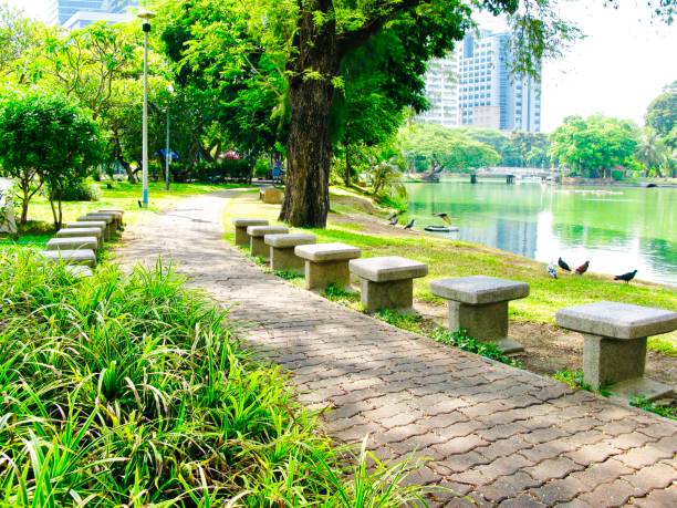 istock Blocks Walkway on Green Grass in A Park 1151771993