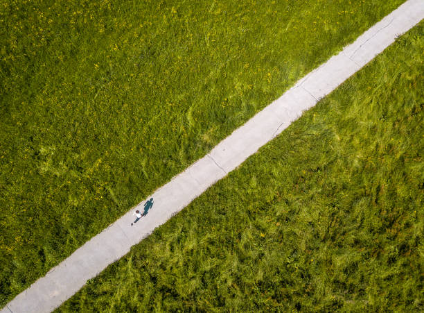 istock Female Athlete Running in Nature 1151773065