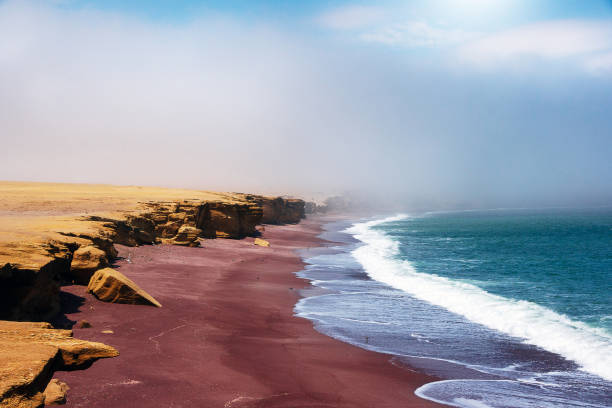 niesamowity krajobraz wybrzeża oceanu spokojnego w parku narodowym paracas, peru - ice zdjęcia i obrazy z banku zdjęć