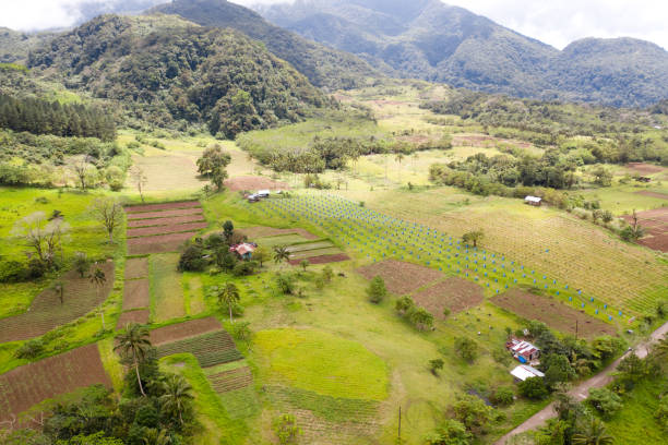 Tropical landscape with gardens and orchards, view from above. Farming on Camiguin Island, Philippines.