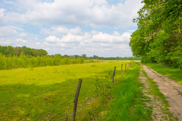 istock Trees in a field under a blue cloudy sky in sunlight in spring 1151778841