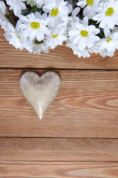 istock A beautiful white oxeye daisy with a heart shape as a background for love letters. 1151780054