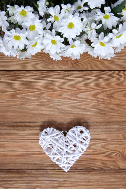 istock A beautiful white oxeye daisy with a heart shape as a background for love letters. 1151780577