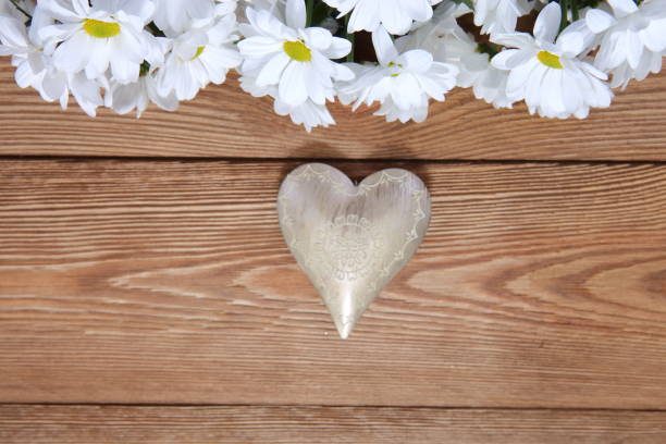 istock A beautiful white oxeye daisy with a heart shape as a background for love letters. 1151780653