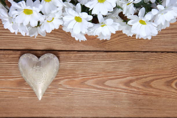 istock A beautiful white oxeye daisy with a heart shape as a background for love letters. 1151780721