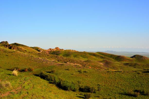 istock Summer steppe and hills countryside landscape 1151784475