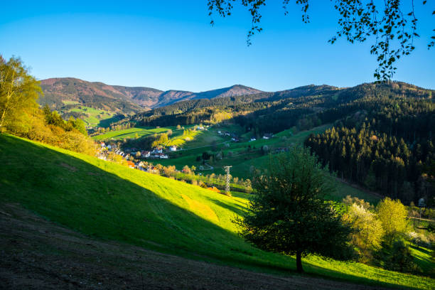 istock Germany, Black forest village in valley between endless forest in spring 1151786969