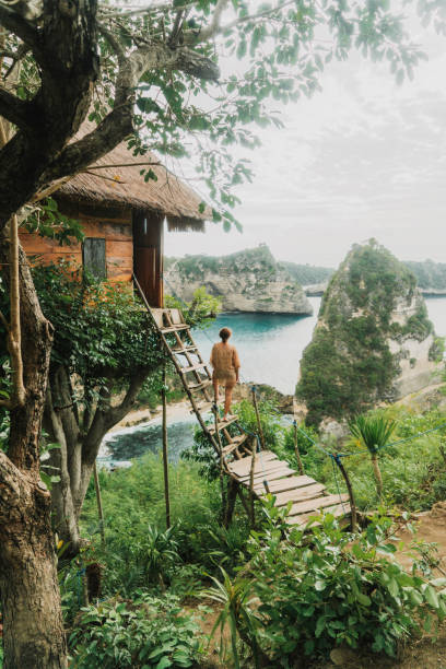 vista panorámica de la mujer cerca de la casa del árbol cerca del mar en nusa penida - nusa lembongan fotografías e imágenes de stock