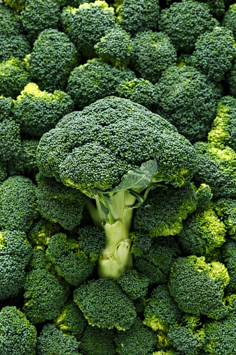 Healthy Fresh Green raw Broccoli. background, texture