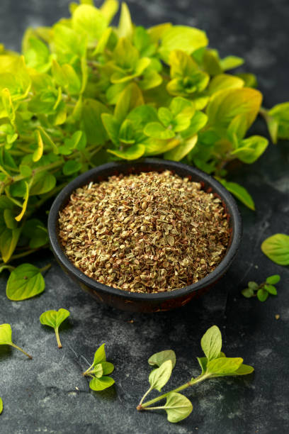istock Fresh and dried oregano in bowl. on black rustic table 1151790711