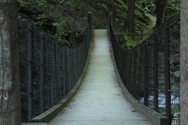 istock Suspension bridge in the forest 1151791832