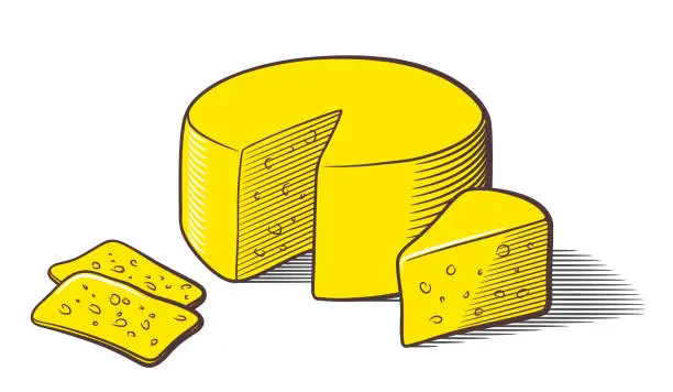 Vector illustration of Stylized colored vector illustration of cheese