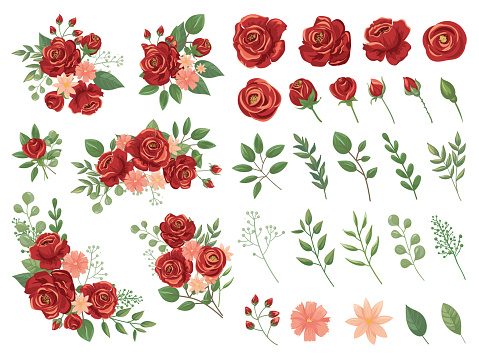 Red floral bouquet. Burgundy rose flower, vintage roses bouquets and spring flowers. Floral rose greenery elegant wedding greeting card. Cartoon vector illustration isolated icons set