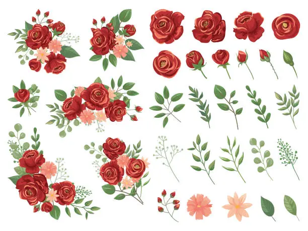 Vector illustration of Red floral bouquet. Burgundy rose flower, vintage roses bouquets and spring flowers vector illustration set