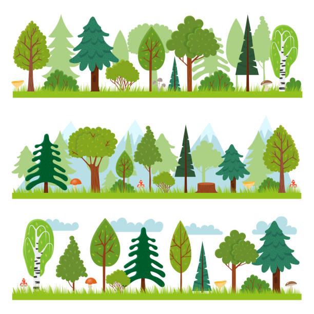 Forest landscapes. Woodland nature trees panorama, forests environment and pine tree vector illustration Forest landscapes. Woodland nature trees panorama, forests environment and pine tree. Foresting park landscape, wooded meadow trees or wild environmental flora vector illustration set landscape nature plant animal stock illustrations