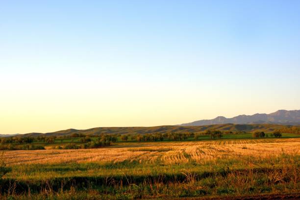 istock Rural area dawn landscape of fields and mountains 1151795691