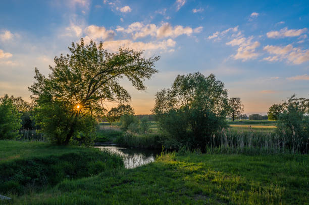 Spreewald region (Brandenburg, Germany) in evening light Sun setting on a natural river in a rural area, Spreewald. spreewald stock pictures, royalty-free photos & images