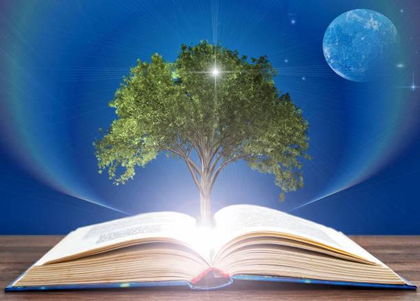 istock from the expanded book grows the tree of knowledge. Education concept 1151798677