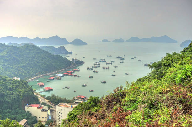 istock Cat Ba Island, Vietnam 1151801131