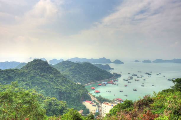 istock Cat Ba Island, Vietnam 1151801136