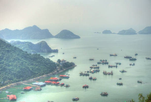 istock Cat Ba Island, Vietnam 1151801147
