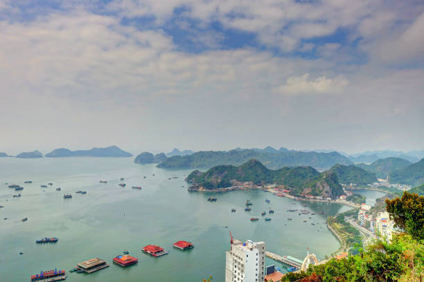 istock Cat Ba Island, Vietnam 1151801157